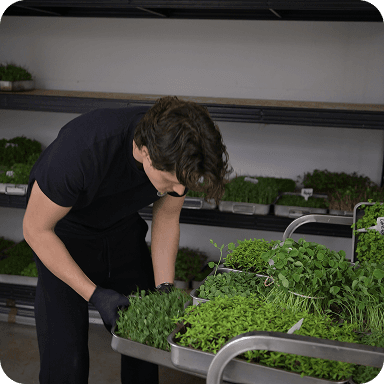 Ferme verticale 1
